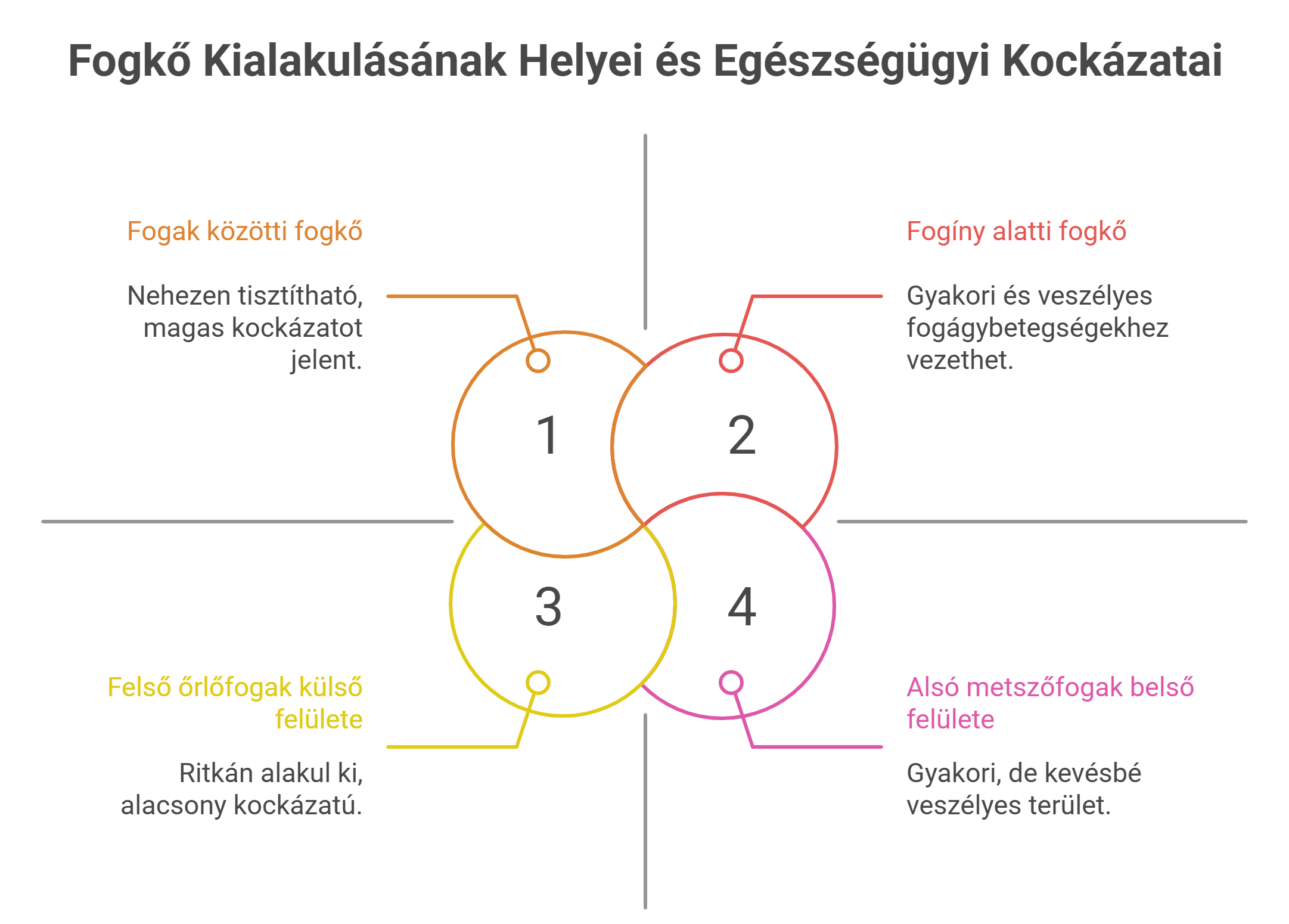 A Fogkő Kialakulásának Helyei és Egészségügyi Kockázatai - visual selection
